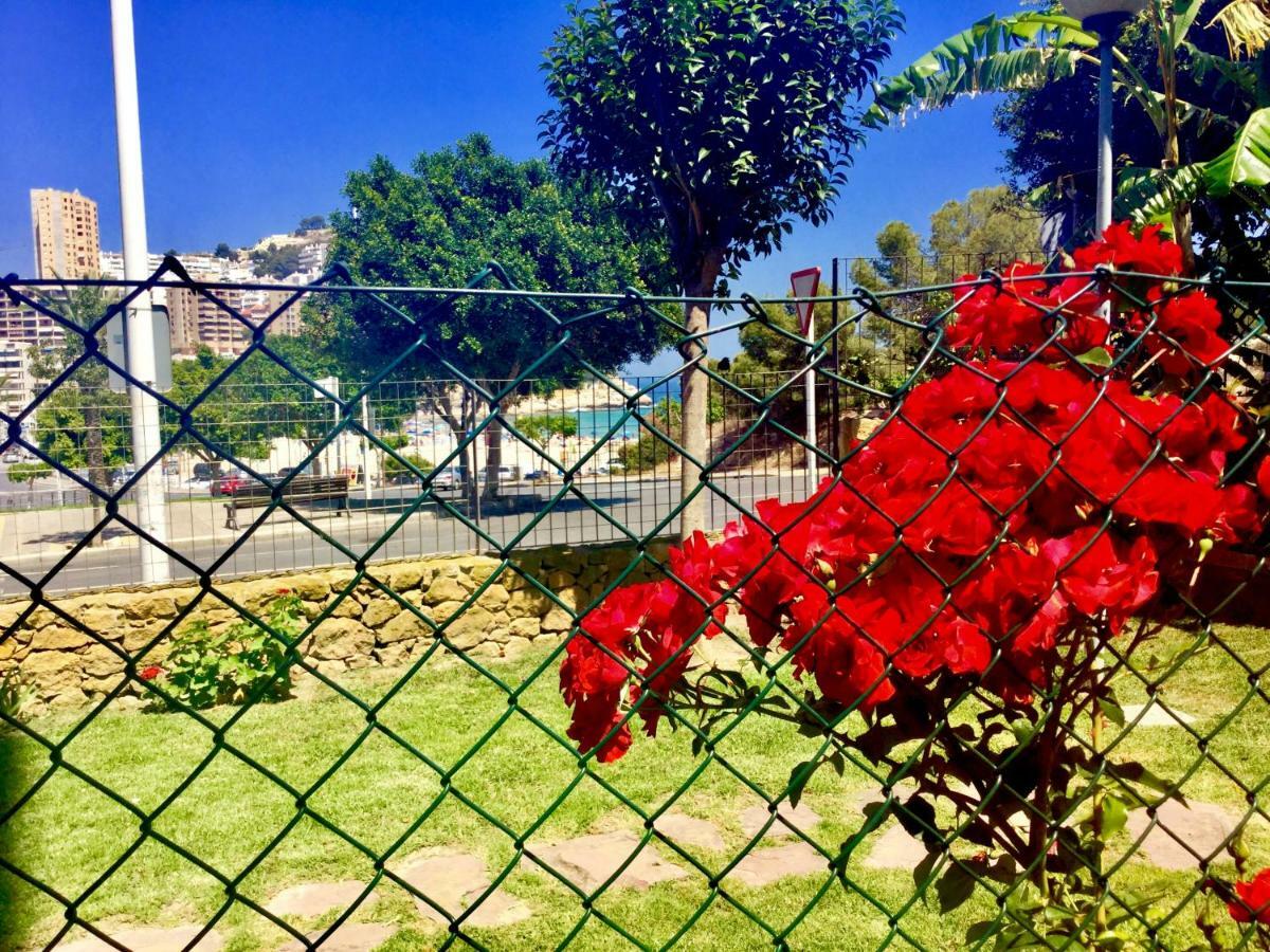 Alitana 2 Bedroom Ground Floor With Private Garden Appartamento Benidorm